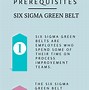 Image result for Six Sigma Structure