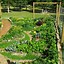 Image result for Permaculture Poster