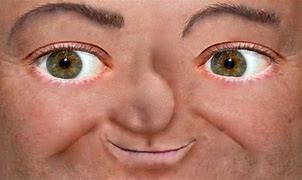 Image result for Realistic Lenny Face