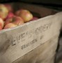 Image result for Cider Apple Varieties