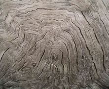 Image result for Even Grain Texture