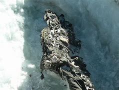 Image result for Frozen Bodies From Italy Alpes WW1