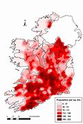 Image result for Ireland Cattle