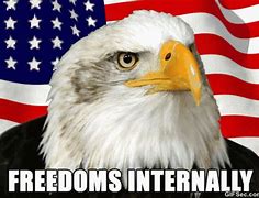 Image result for America Freedom Funny