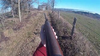 Image result for Chasse Carabine a Plomb Lapin