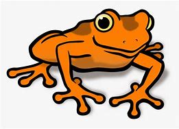 Image result for Orange Frog Clip Art