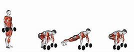 Image result for Muscles Involved in Burpees