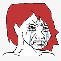 Image result for Angry Crying Face Meme