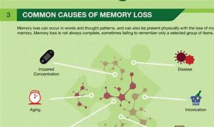 Image result for How Human Memory Works