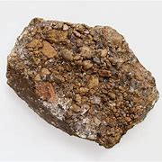 Image result for Darwin Rocks Gene