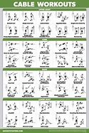 Image result for Cable Weight Machine Exercises