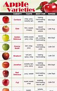 Image result for Apple Guide