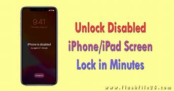 Image result for How Do You Unlock an iPhone That AHS Been Disabled