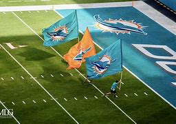 Image result for Miami Dolphins Snow Memes