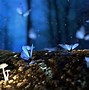 Image result for Blue Butterflies a Bunch Home Screen