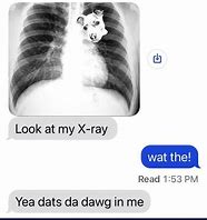 Image result for Dog in Me Meme X-ray