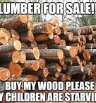 Image result for Timber Meme