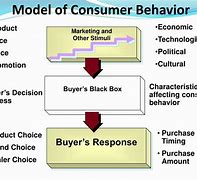 Image result for Learning Model of Consumer Behavior