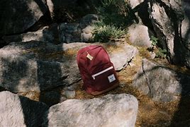 Image result for Dragon Ball Z Backpack