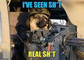 Image result for army dogs meme