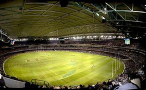 Image result for Roof Cricket