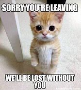 Image result for Lost Without You Meme