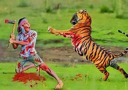 Image result for Zhang Mauled by Tiger