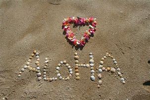 Image result for Hawaii Style Marriage Certificate