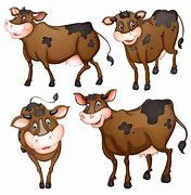 Image result for Brown and White Cow Cartoon
