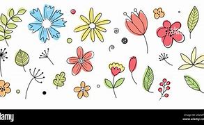 Image result for Flower Graphic Organizer