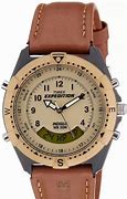 Image result for Timex Mf13