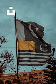 Image result for Black and White Striped Flag