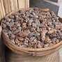 Image result for Monkey Poop Coffee Beans