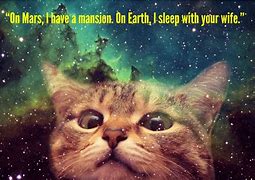 Image result for Funny Cat Space Memes