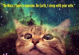 Image result for galaxy cats memes