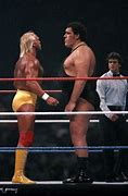 Image result for Hulk Hogan Andre Giant