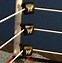 Image result for WWE Wrestling Ring for Pets
