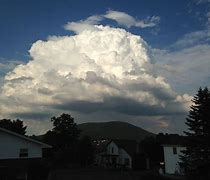 Image result for Single Cell Storm