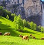 Image result for Switzerland Landscape