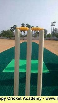 Image result for Cricket Matting Pitch