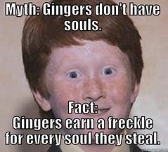 Image result for Funny Ginger Cat Meme