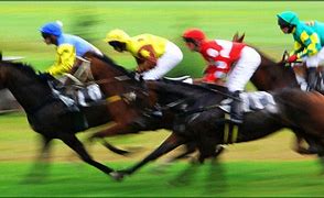 Image result for Biggest Horse Race