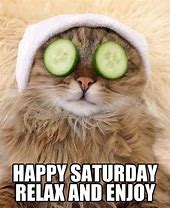 Image result for Weekend Cat Meme