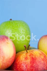 Image result for Small Apple Varieties