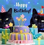 Image result for Happy Birthday From the Cat Card