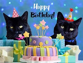 Image result for Happy Birthday Friend Cat