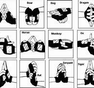 Image result for Reanimation Jutsu Hand Signs