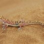 Image result for Web Footed Gecko