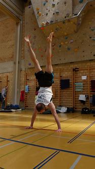 Image result for Gymnastics Equipment