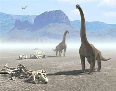 Image result for Dinosaur Extinction